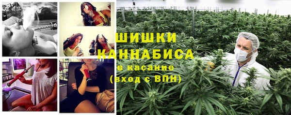 СК Протвино